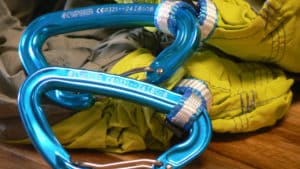 Peregrine Refuge 1 carabiner | Trail Navigator