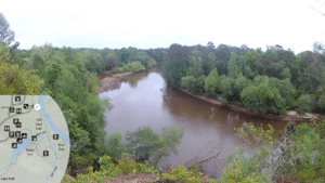 Trail Navigator | Cliffs of the Neuse State Park - Overlook