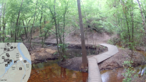 Trail Navigator | Cliffs of the Neuse State Park - Galax Trail