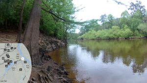 Trail Navigator | Cliffs of the Neuse State Park - along the bank of the Neuse River